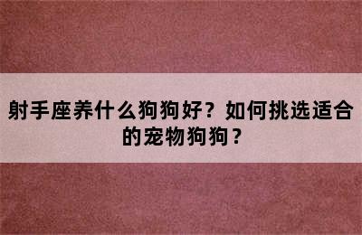 射手座养什么狗狗好？如何挑选适合的宠物狗狗？