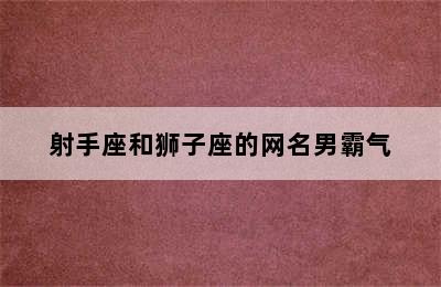 射手座和狮子座的网名男霸气