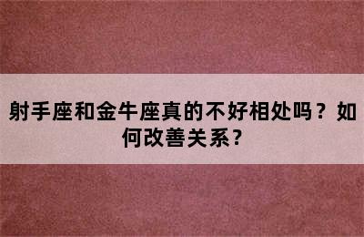 射手座和金牛座真的不好相处吗？如何改善关系？