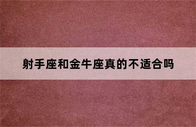 射手座和金牛座真的不适合吗