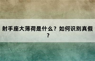 射手座大薄荷是什么？如何识别真假？