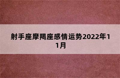 射手座摩羯座感情运势2022年11月