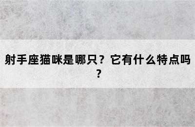 射手座猫咪是哪只？它有什么特点吗？