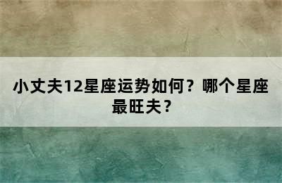 小丈夫12星座运势如何？哪个星座最旺夫？