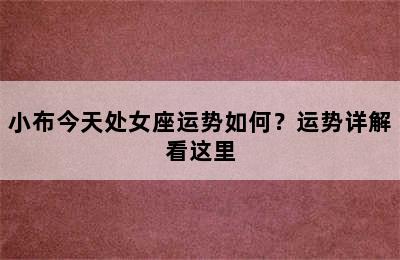小布今天处女座运势如何？运势详解看这里