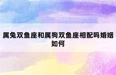 属兔双鱼座和属狗双鱼座相配吗婚姻如何