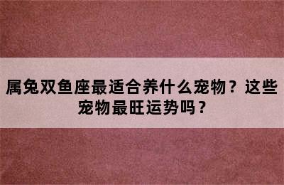 属兔双鱼座最适合养什么宠物？这些宠物最旺运势吗？