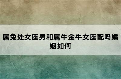 属兔处女座男和属牛金牛女座配吗婚姻如何