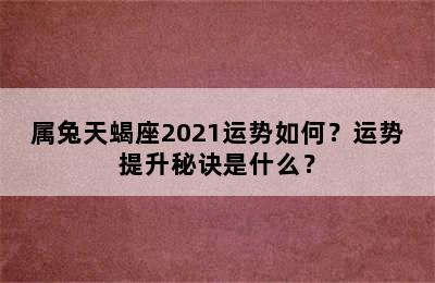 属兔天蝎座2021运势如何？运势提升秘诀是什么？