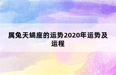 属兔天蝎座的运势2020年运势及运程