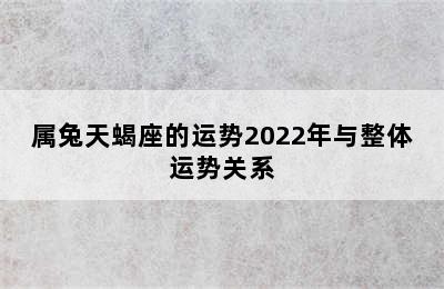 属兔天蝎座的运势2022年与整体运势关系