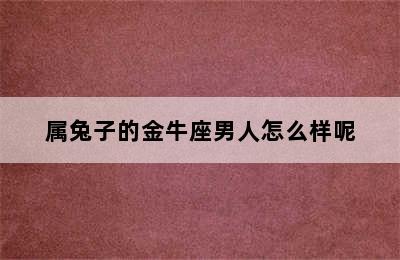 属兔子的金牛座男人怎么样呢