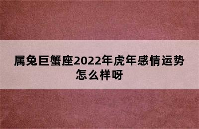 属兔巨蟹座2022年虎年感情运势怎么样呀