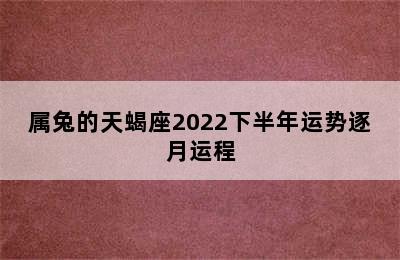 属兔的天蝎座2022下半年运势逐月运程