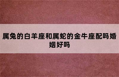 属兔的白羊座和属蛇的金牛座配吗婚姻好吗