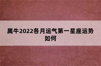 属牛2022各月运气第一星座运势如何