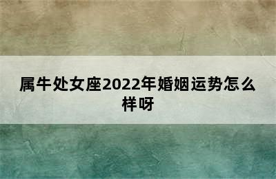 属牛处女座2022年婚姻运势怎么样呀