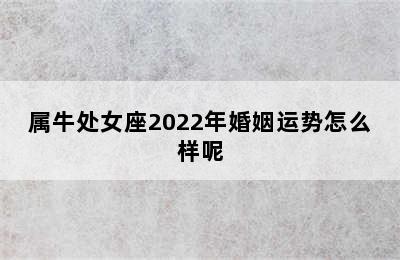 属牛处女座2022年婚姻运势怎么样呢