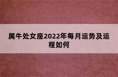 属牛处女座2022年每月运势及运程如何