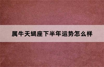 属牛天蝎座下半年运势怎么样