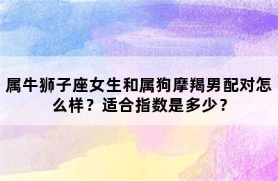 属牛狮子座女生和属狗摩羯男配对怎么样？适合指数是多少？
