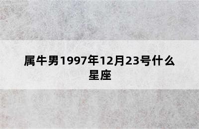 属牛男1997年12月23号什么星座