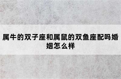 属牛的双子座和属鼠的双鱼座配吗婚姻怎么样