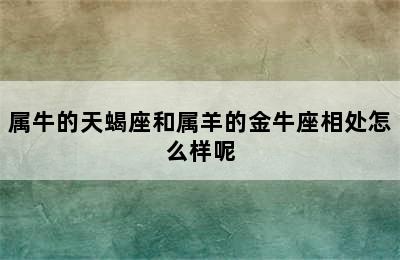 属牛的天蝎座和属羊的金牛座相处怎么样呢