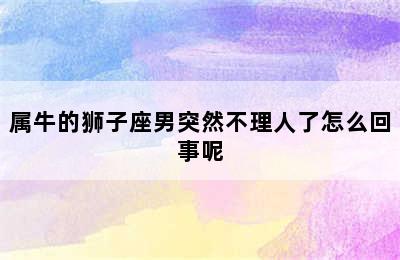 属牛的狮子座男突然不理人了怎么回事呢