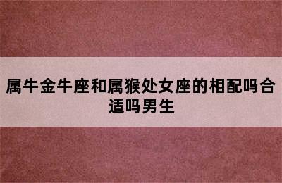 属牛金牛座和属猴处女座的相配吗合适吗男生