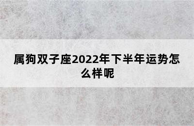 属狗双子座2022年下半年运势怎么样呢