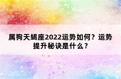 属狗天蝎座2022运势如何？运势提升秘诀是什么？