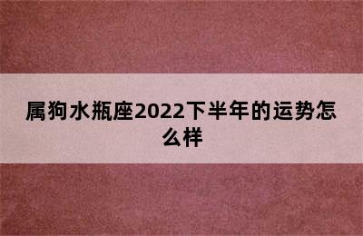 属狗水瓶座2022下半年的运势怎么样