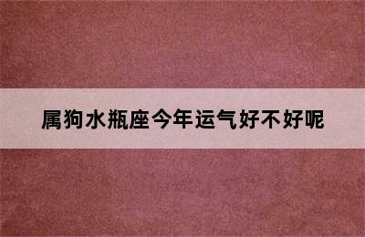 属狗水瓶座今年运气好不好呢