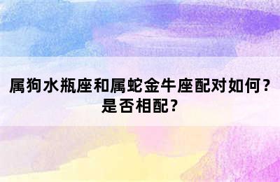 属狗水瓶座和属蛇金牛座配对如何？是否相配？