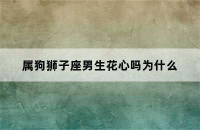 属狗狮子座男生花心吗为什么