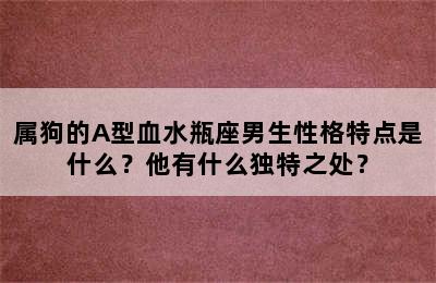 属狗的A型血水瓶座男生性格特点是什么？他有什么独特之处？