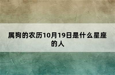 属狗的农历10月19日是什么星座的人