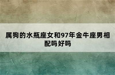 属狗的水瓶座女和97年金牛座男相配吗好吗