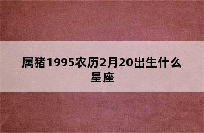 属猪1995农历2月20出生什么星座