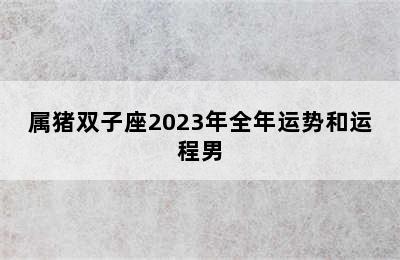 属猪双子座2023年全年运势和运程男