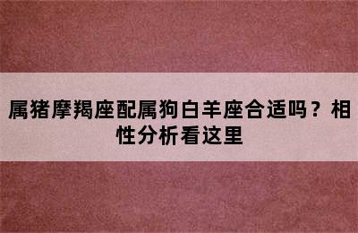 属猪摩羯座配属狗白羊座合适吗？相性分析看这里
