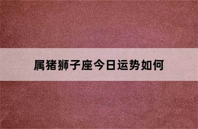 属猪狮子座今日运势如何