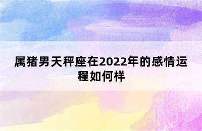 属猪男天秤座在2022年的感情运程如何样