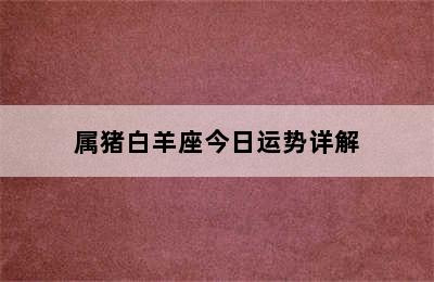 属猪白羊座今日运势详解