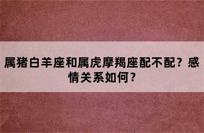 属猪白羊座和属虎摩羯座配不配？感情关系如何？