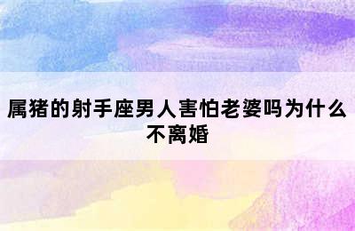 属猪的射手座男人害怕老婆吗为什么不离婚