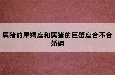 属猪的摩羯座和属猪的巨蟹座合不合婚姻