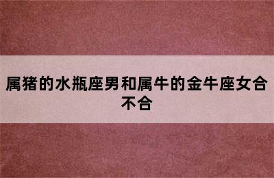 属猪的水瓶座男和属牛的金牛座女合不合