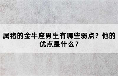 属猪的金牛座男生有哪些弱点？他的优点是什么？